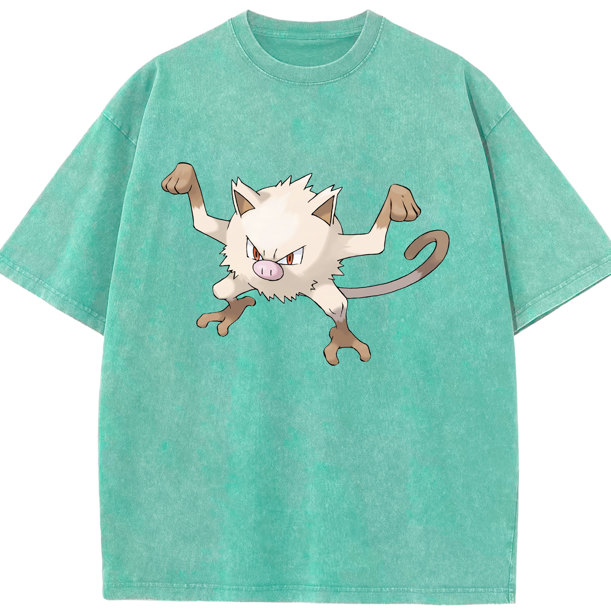（画像用） ポケットモンスター Pokémon 綿100% ヴィンテージ風 半袖Tシャツ（フロントプリント）